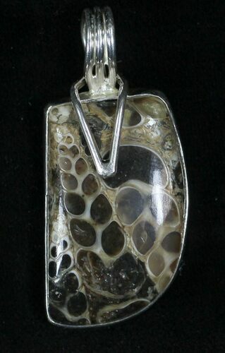 Fossil Turritella (Gastropod) Pendant - Sterling Silver #22635